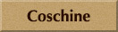 Coschine